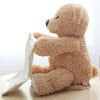 Peek-A-Boo Bear